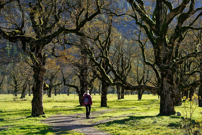 Urban Walking Trails